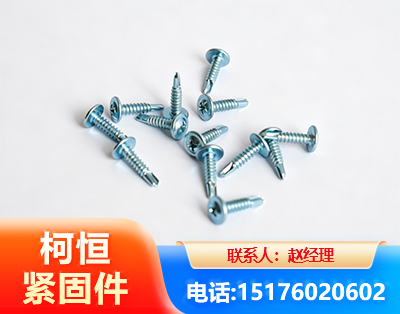 汕头华司钻尾丝