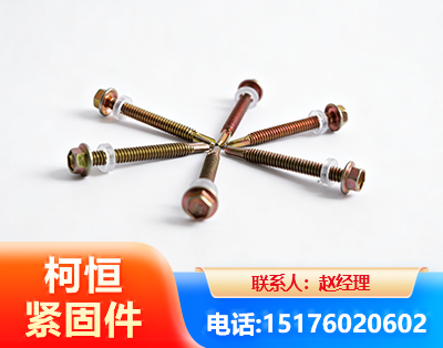 汕头六角钻尾丝