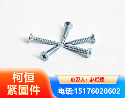 汕头平头钻尾丝