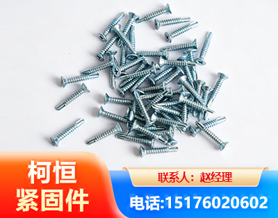 汕头平头钻尾丝